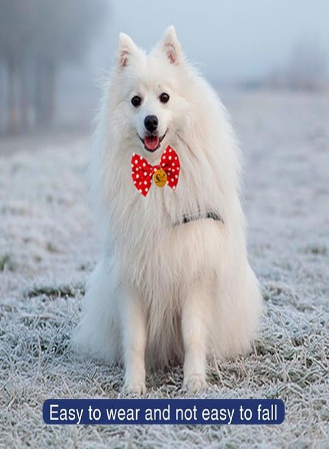 سايج سكوير ربطة عنق مربعة الشكل بنقشة كلب من سيج: إكسسوار أنيق ومتين لعشاق الكلاب - مثالية للمناسبات الرسمية، والاستخدام اليومي، والصور التذكارية، ودعائم الحيوانات الأليفة، والحفلات، ربطة عنق أنيقة مطبوعة على الياقة (مجموعة من 5 قطع) - Image 2